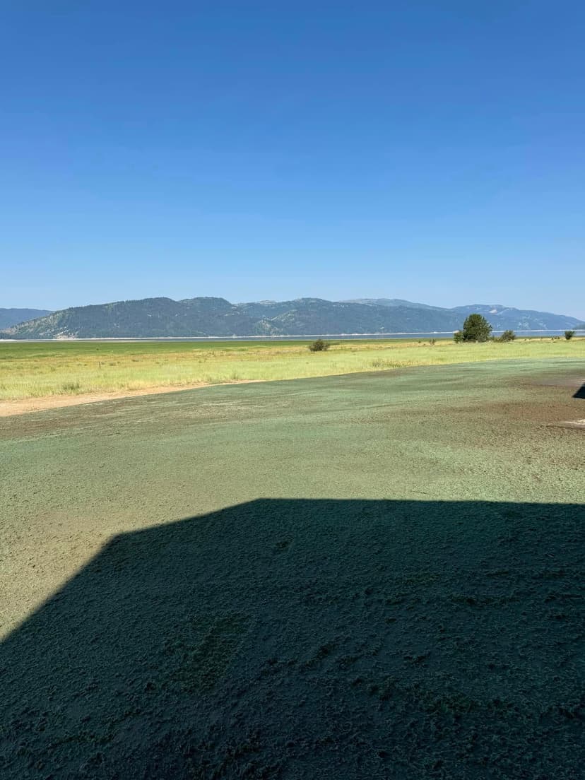 Scenic view of green fields and mountains under a clear blue sky.