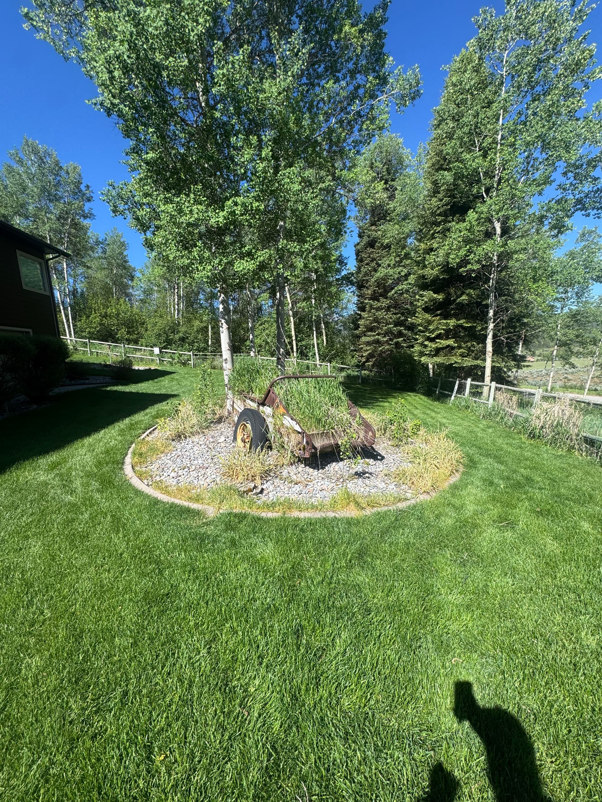 Gallery photos for From Overgrown Mess to Clean Yard That Actually Works: Image #2